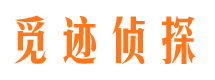 佛山调查取证